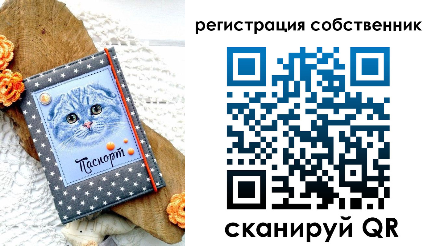 прописка для работы в Котельниче